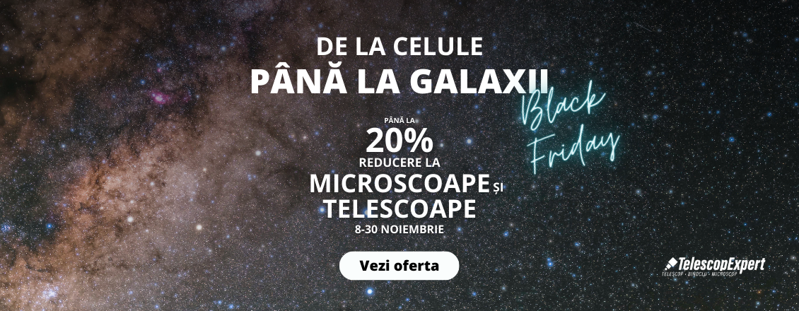 Oferte de Black Friday