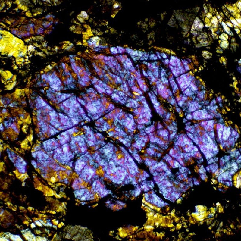 Microscop biologic BIM-313T PLAN LED (40x-1000x) (resigilat) image 2