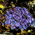 Microscop biologic BIM-313T PLAN LED (40x-1000x) (resigilat) image 2