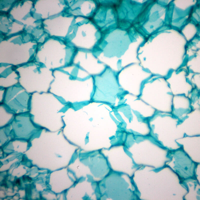 Microscop biologic trinocular BIM-313T PLAN LED (40x-1000x)