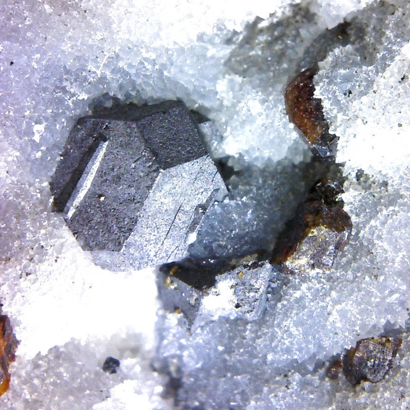 Microscop digital USB BRESSER (50-1000x)