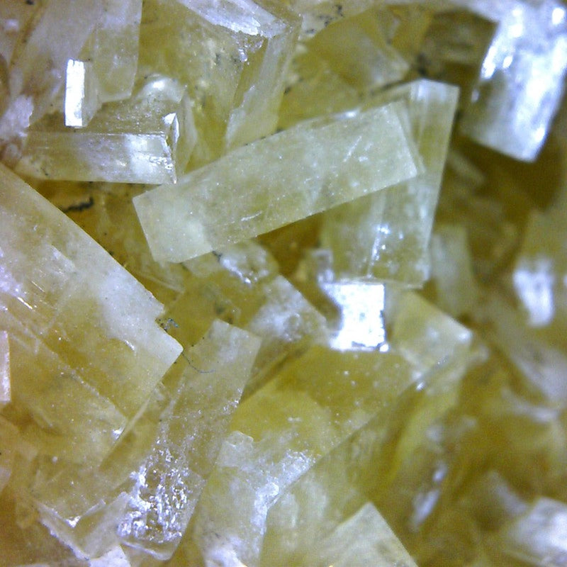 Microscop digital USB BRESSER (50-1000x)