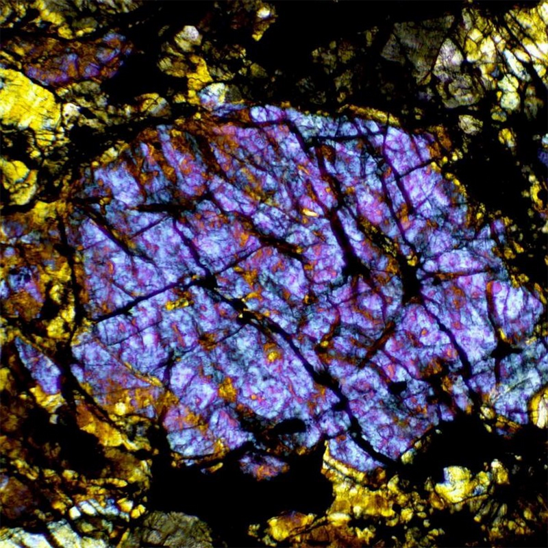 Microscop biologic trinocular BIM-313T PLAN LED (40x-1000x)
