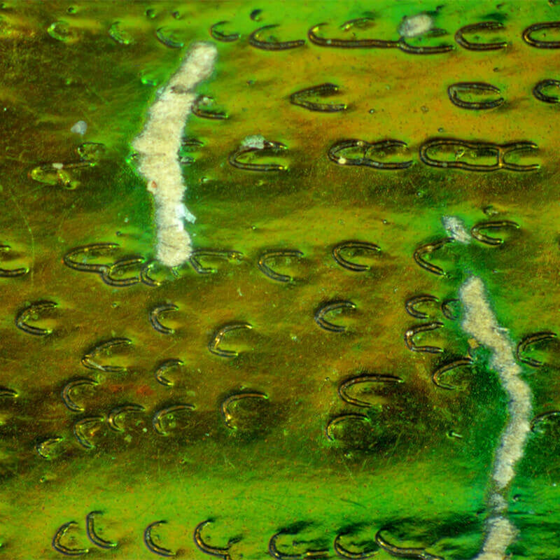 Microscop stereo Delta SZ-430-T PLAN (7-30x)