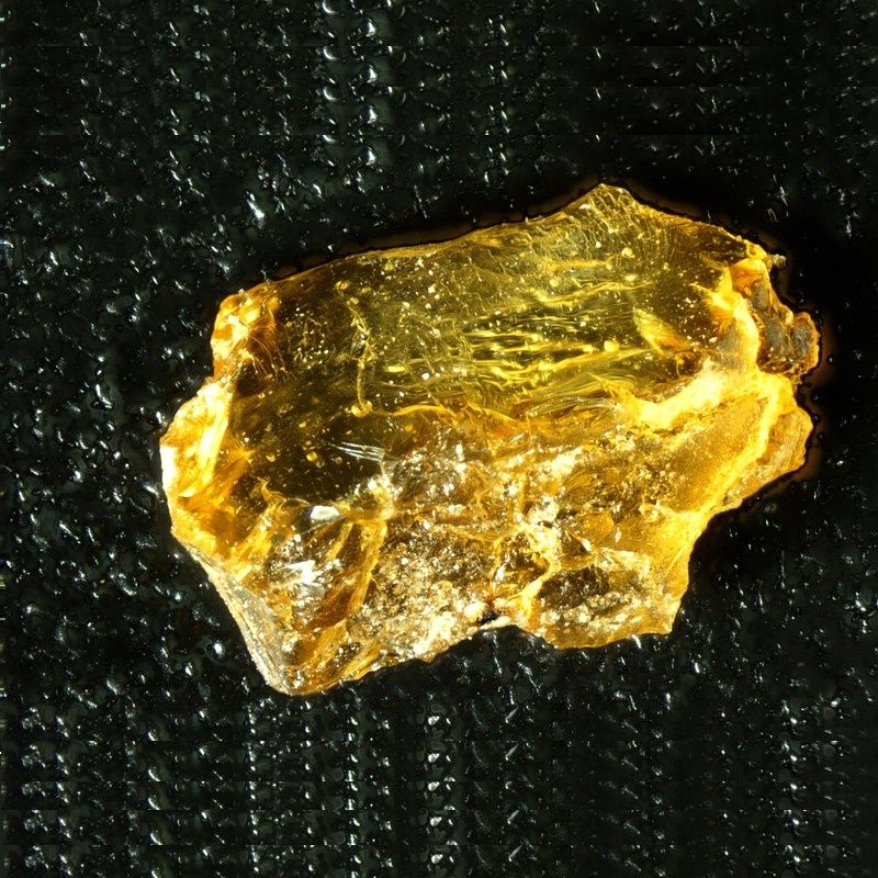 Set microscop biologic pentru copii si elevi BioLight 100 Alb (40-400x)