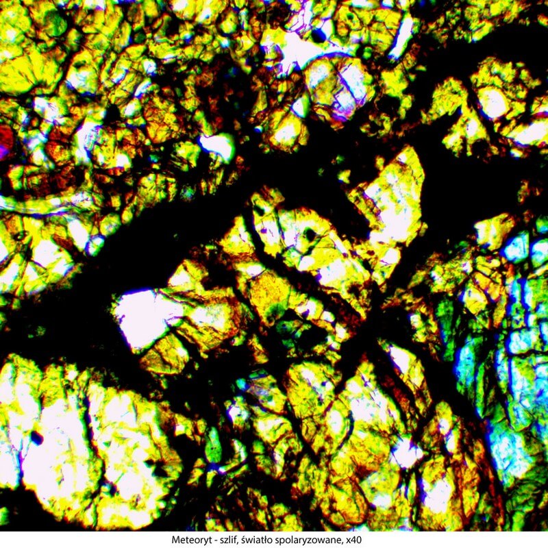 Microscop biologic trinocular DELTA Genetic Pro Trino (40x-1000x)