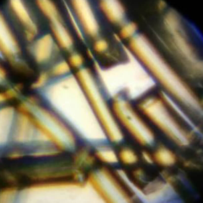 Microscop biologic portabil pentru copii Student 2 NG (80 si 200x)