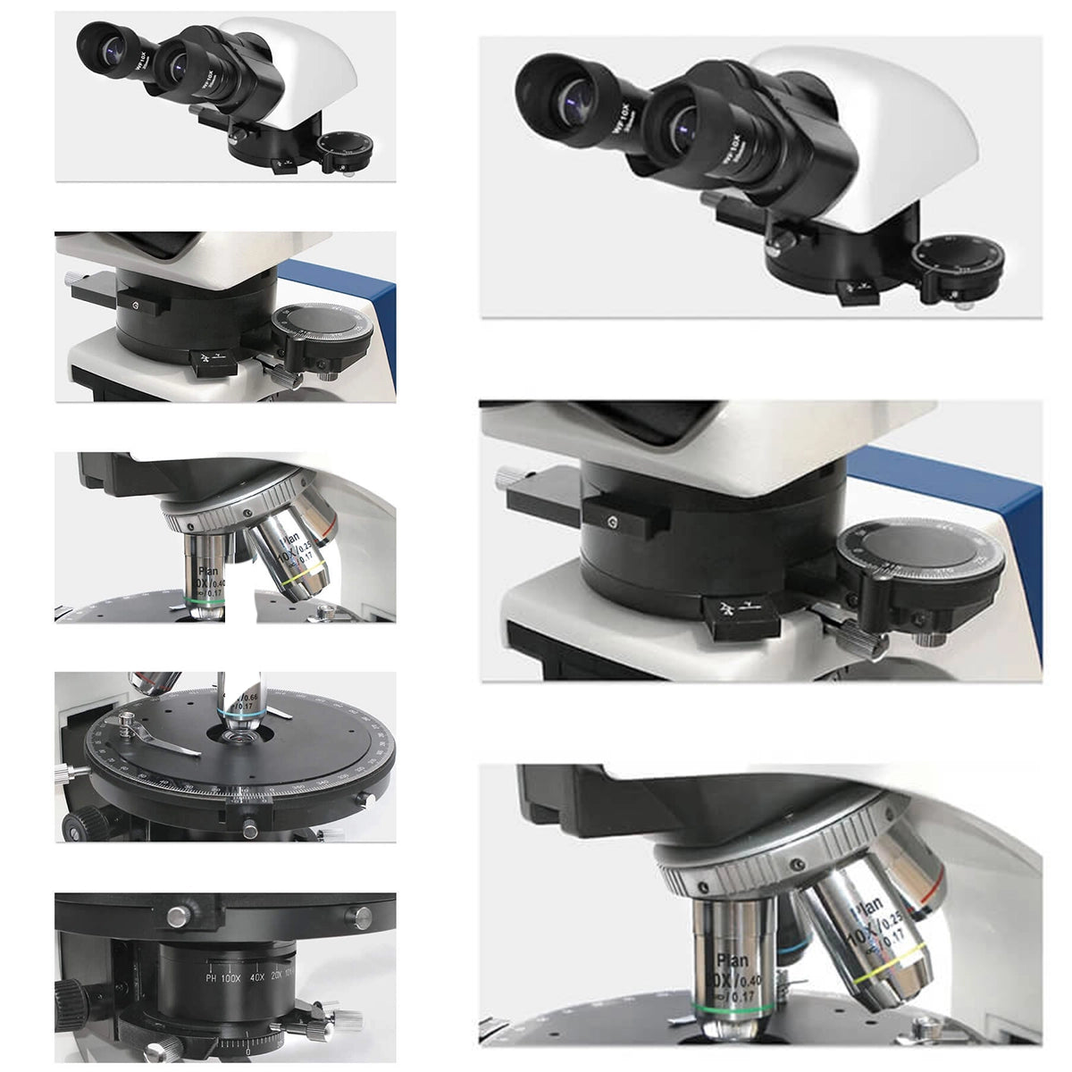 Microscop LACERTA LISpol-1