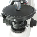 Microscop LACERTA LISpol-4