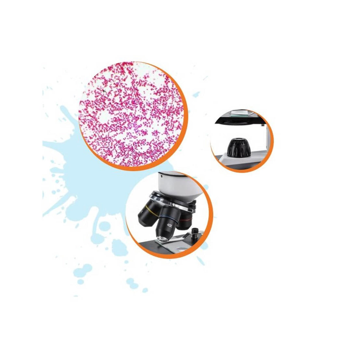 Microscop biologic Student 14 pentru elevi Student  (40-400x) cu LED