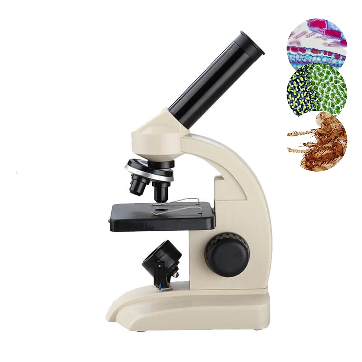 Microscop biologic pentru copii Student 31 (70-400x)