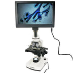 Microscop digital Lacerta stand alone HDMI 2.1MP