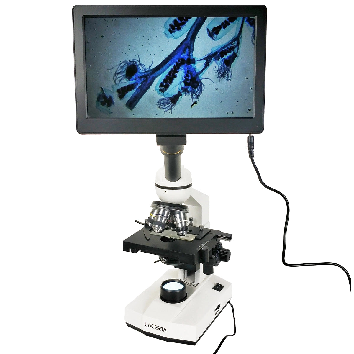Microscop digital Lacerta stand alone HDMI 2.1MP