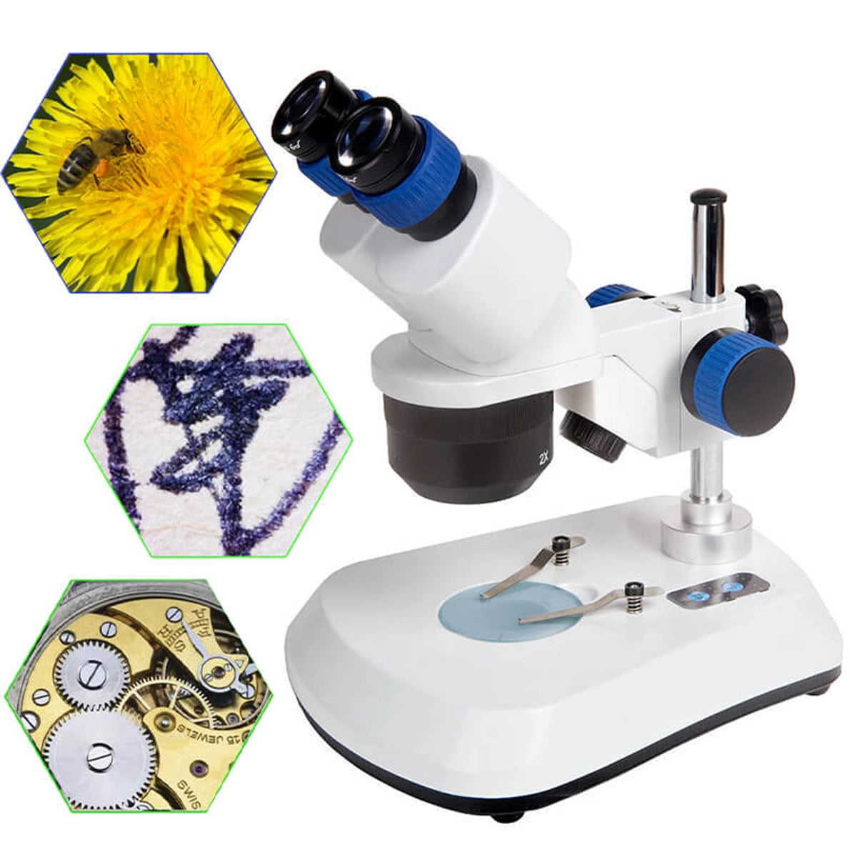 Microscop stereo Delta Discovery 50 (20x - 40x)