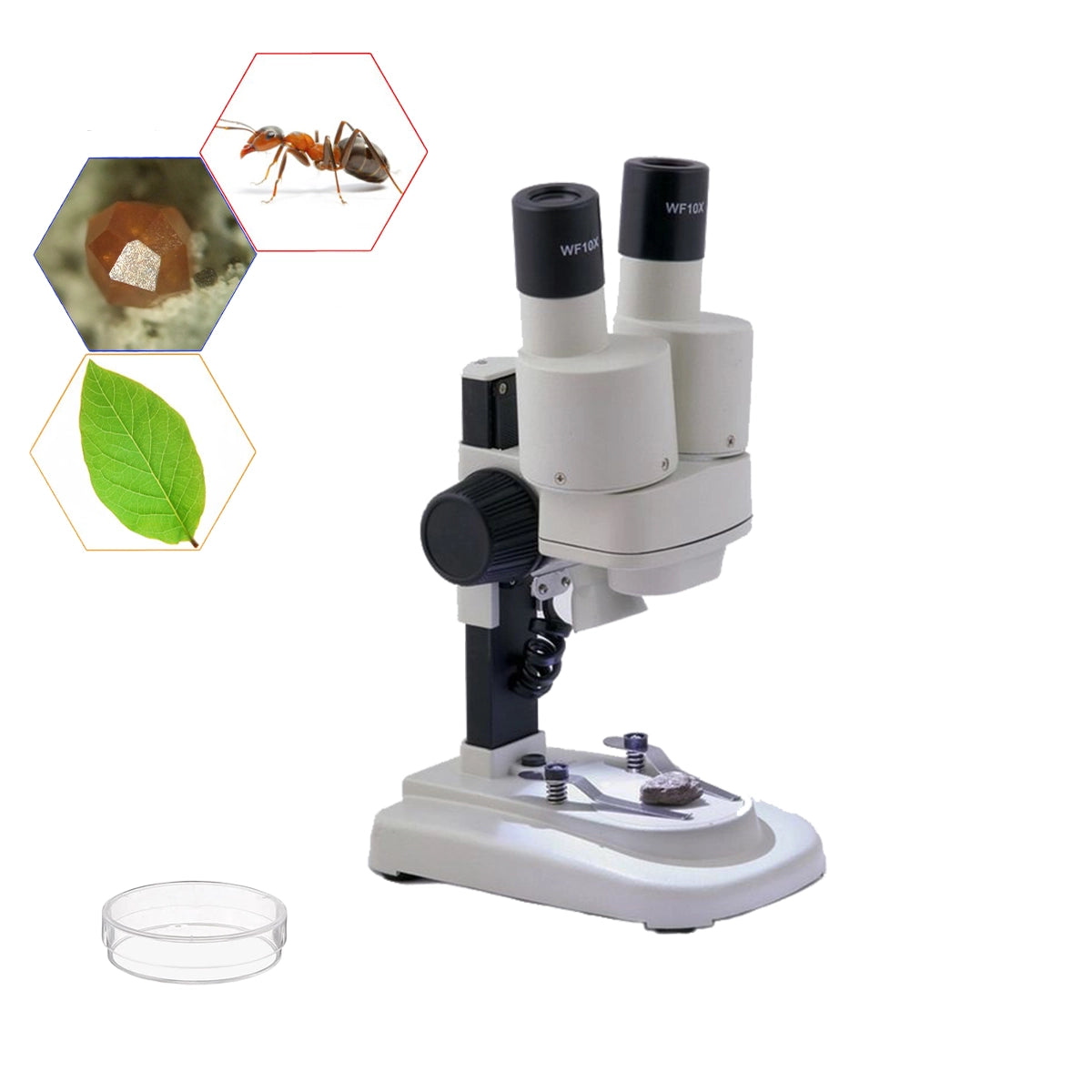 Microscop  Student Mini 1S 20x - LED