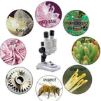 Microscop  Student Mini 1S 20x - LED