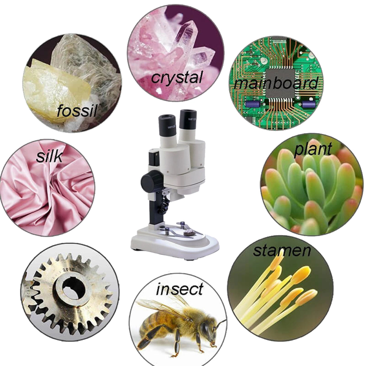 Microscop  Student Mini 1S 20x - LED