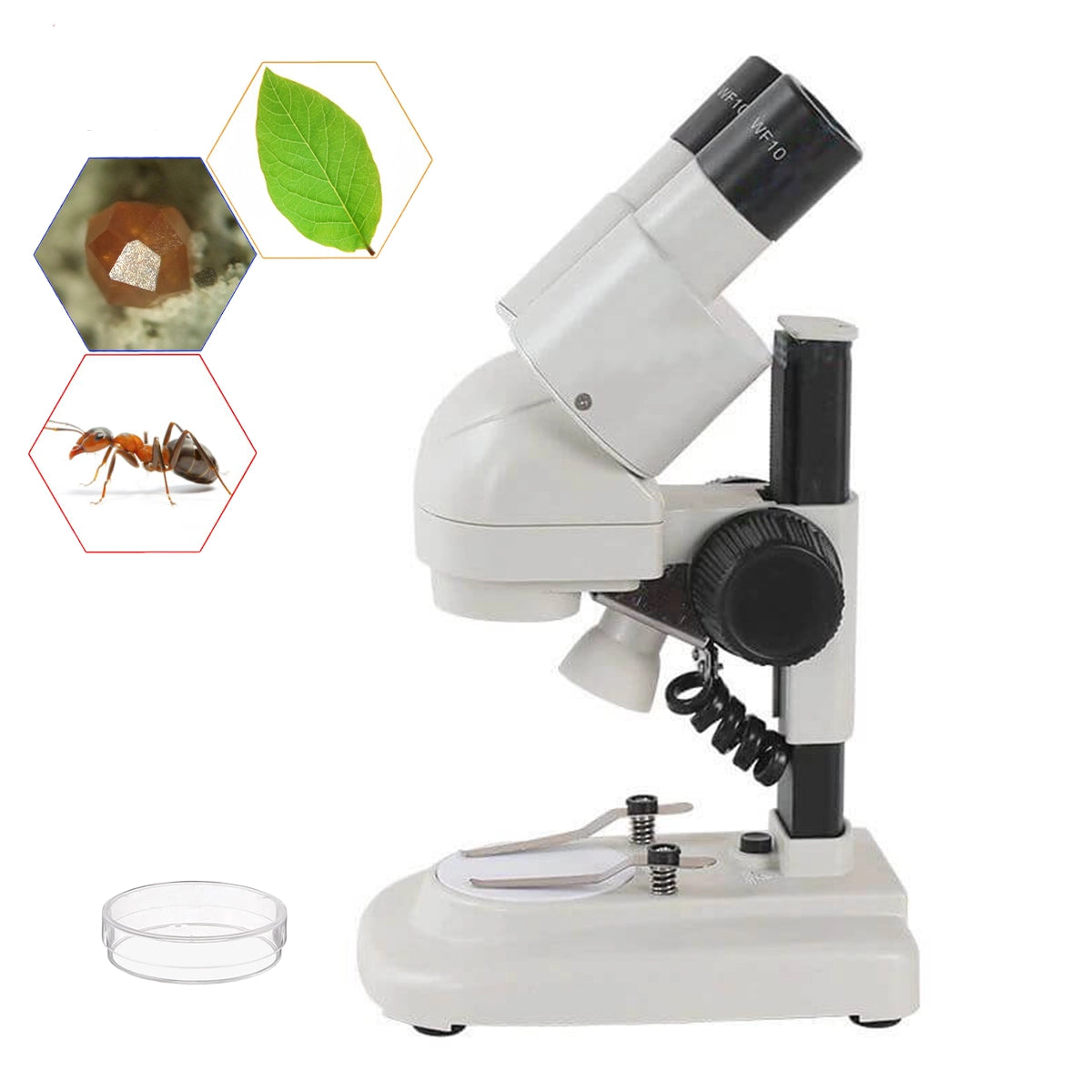Microscop stereo Student 2S 20x LED