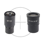 Ocular microscop cu micrometru WF 10x
