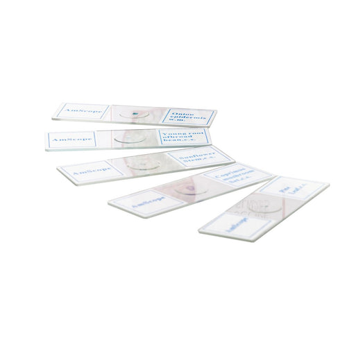 Set 5 preparate pentru microscop