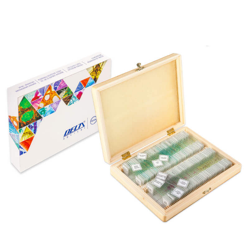 Preparate pentru microscop 100 bucati image 1