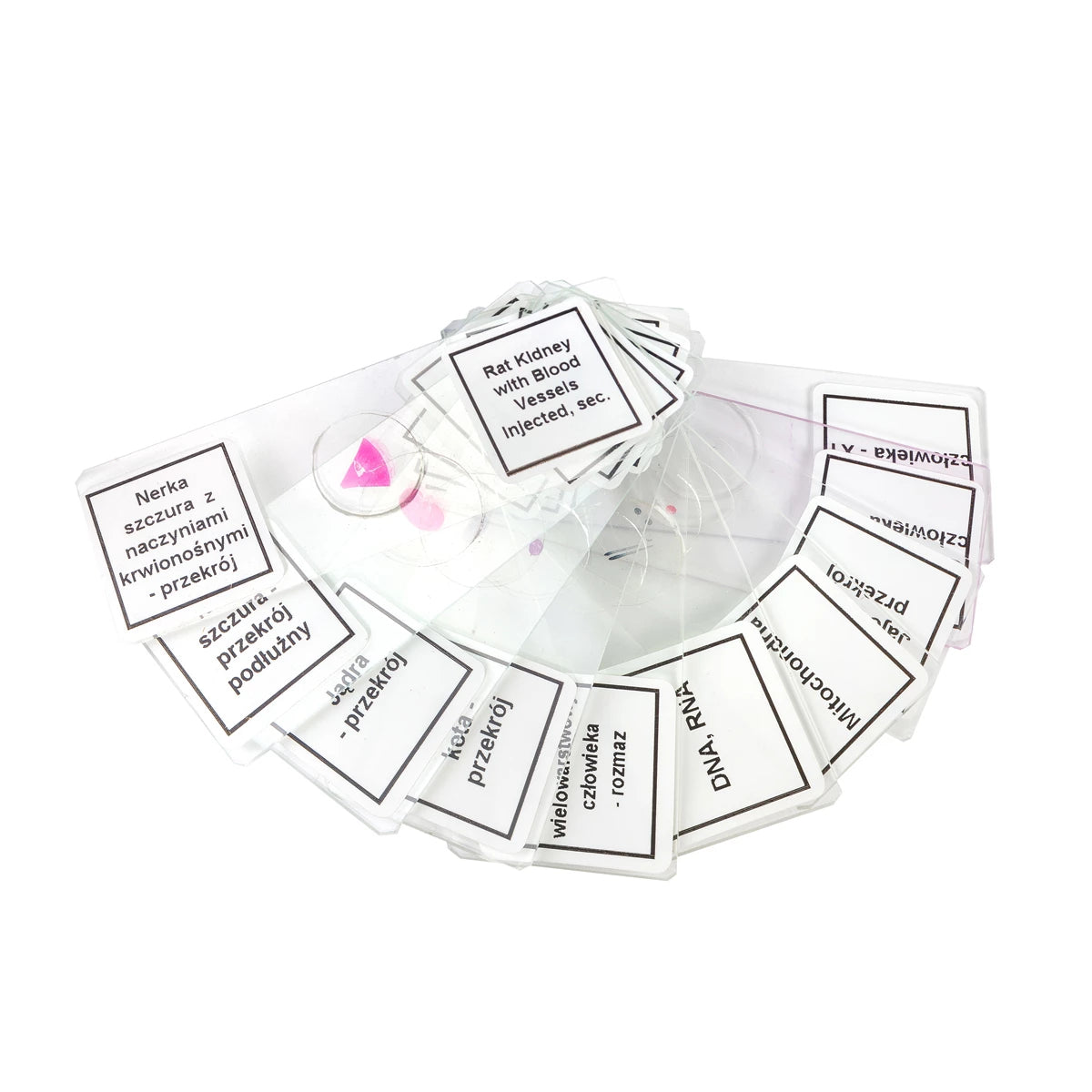 Preparate pentru microscop 100 bucati