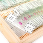 Preparate pentru microscop 100 bucati