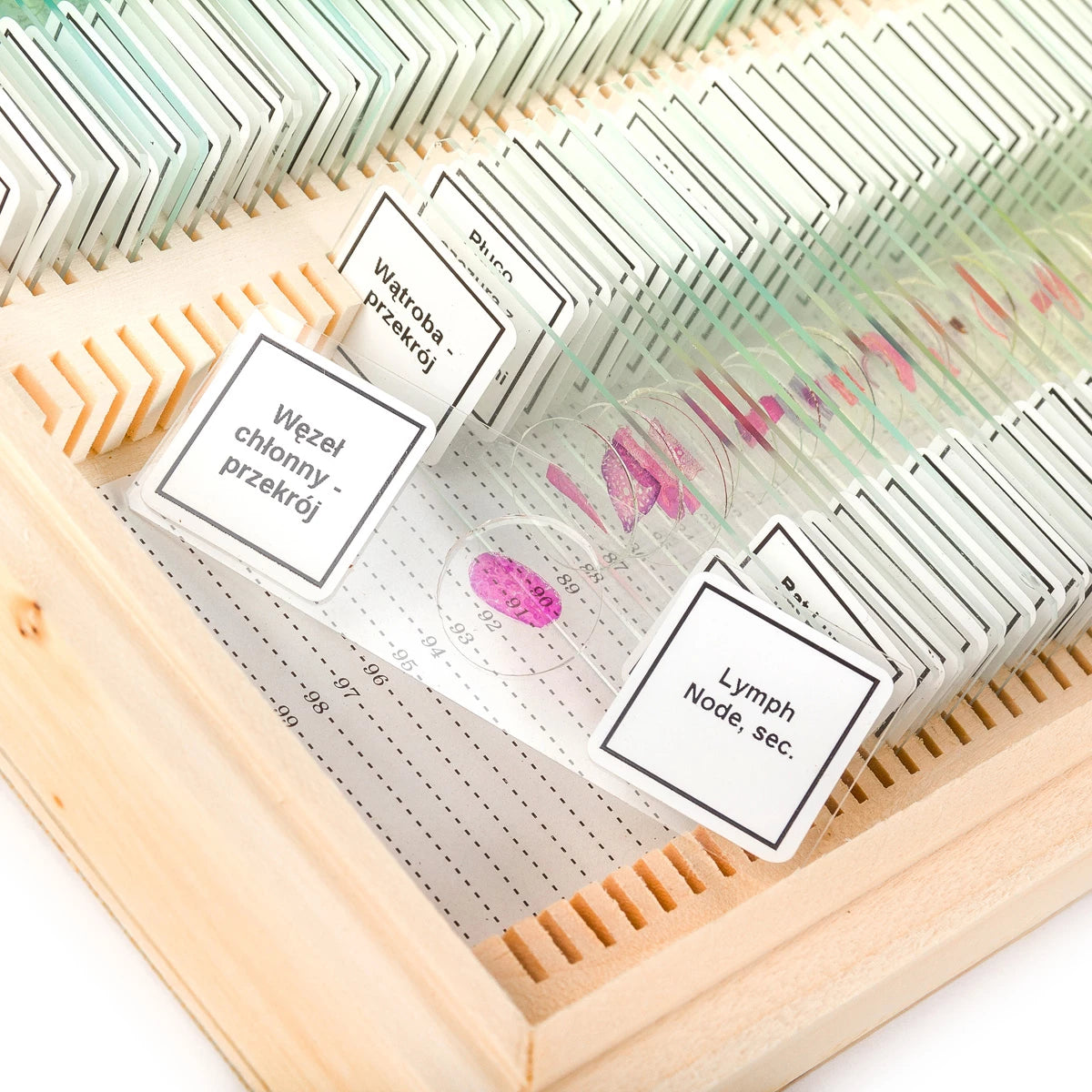 Preparate pentru microscop 100 bucati