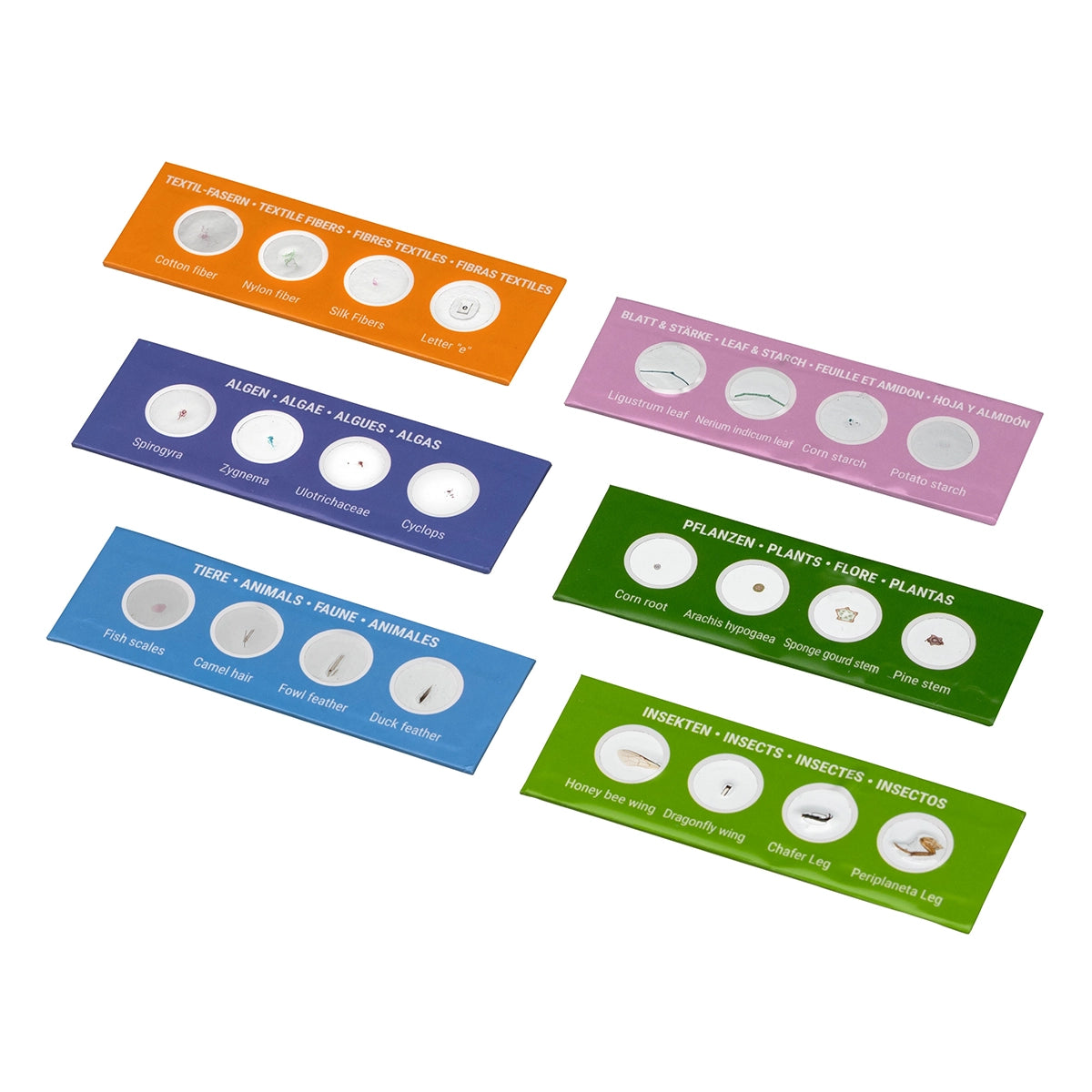 Preparate pentru microscop BRESSER JUNIOR (24 buc)