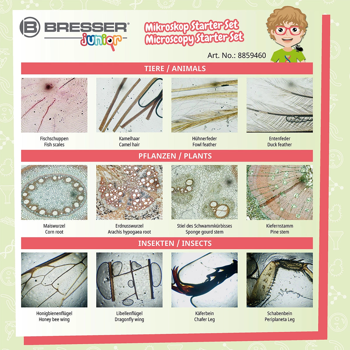 Preparate pentru microscop BRESSER JUNIOR (24 buc)