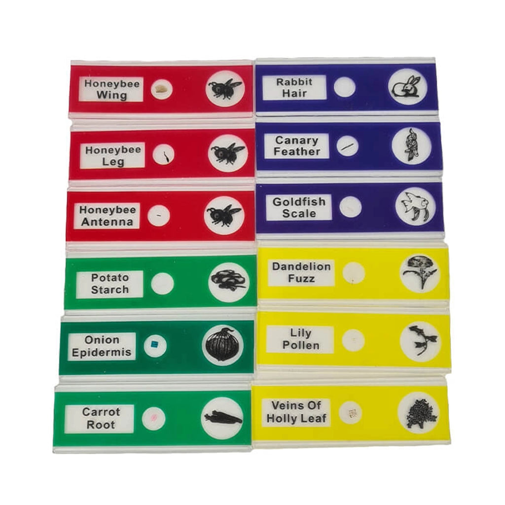 Preparate pentru microscop MIX (12 buc)