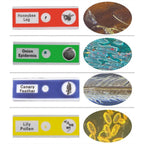 Preparate pentru microscop MIX (12 buc)