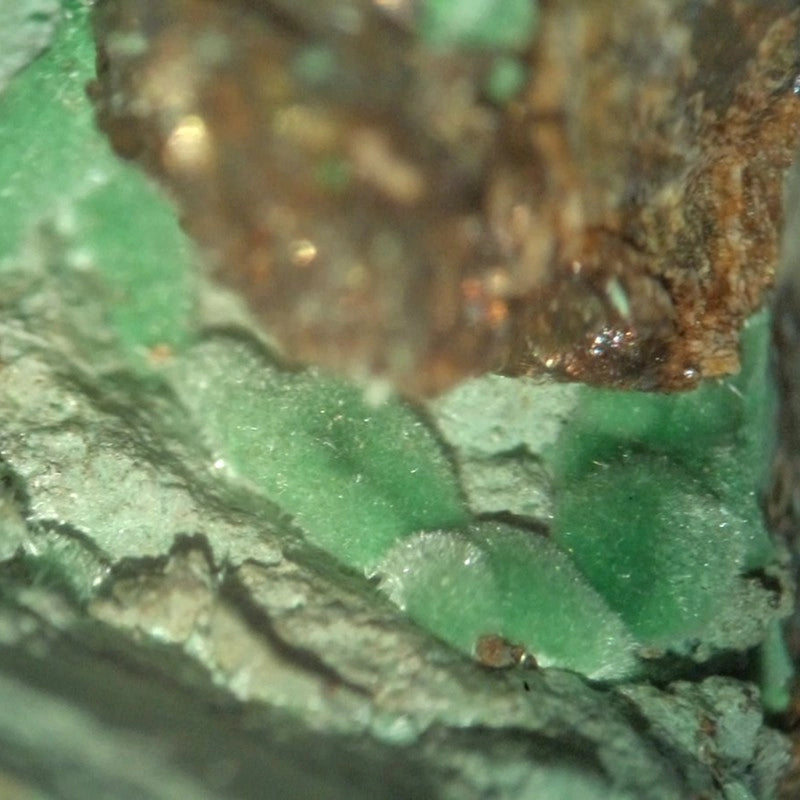 Microscop stereo STM-6A ZOOM (10x - 80x)