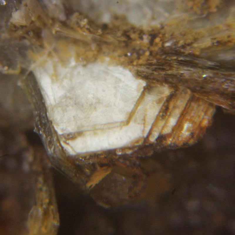 Microscop stereo STM-6A ZOOM (10x - 80x)