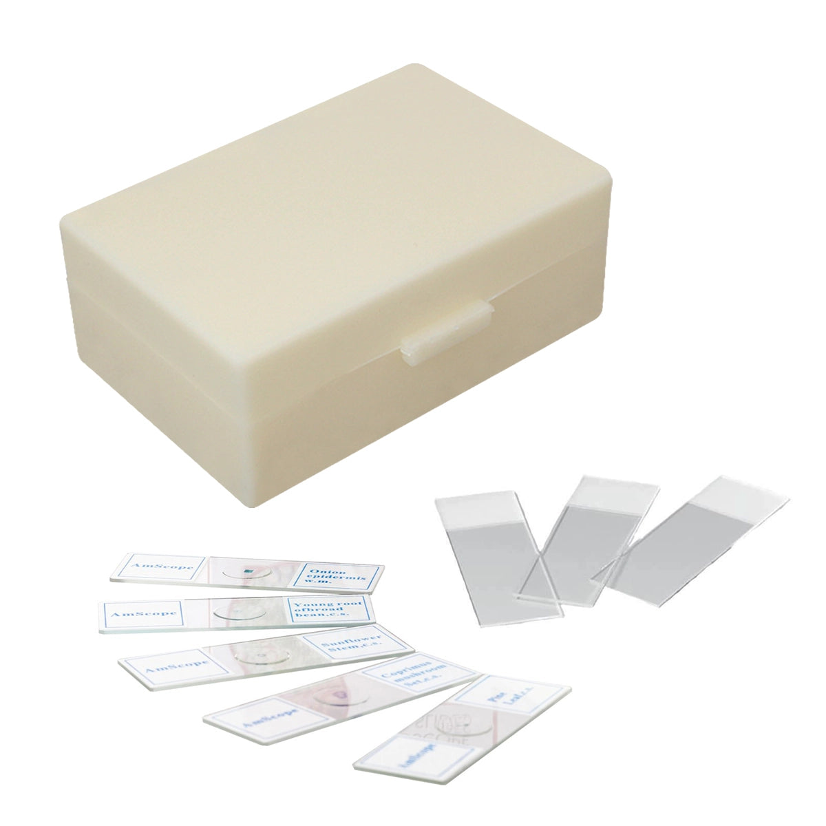 Set 10 preparate + 5 lame pentru microscop