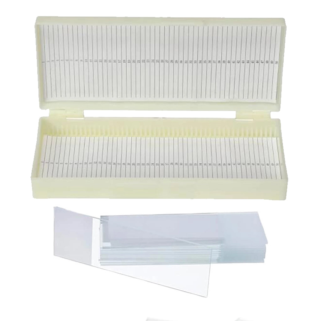 Set 50 lame de microscop cu cutie (plastic)
