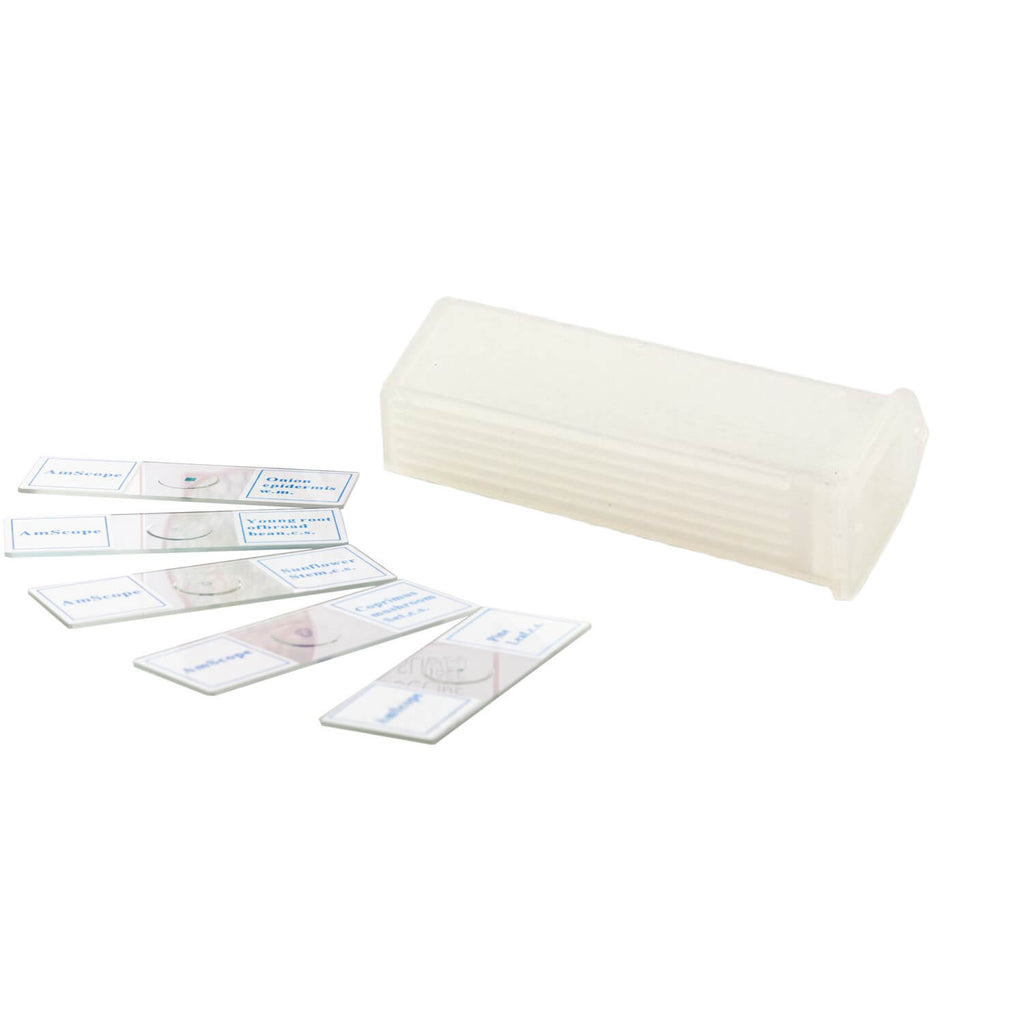 Set 5 preparate pentru microscop image 1