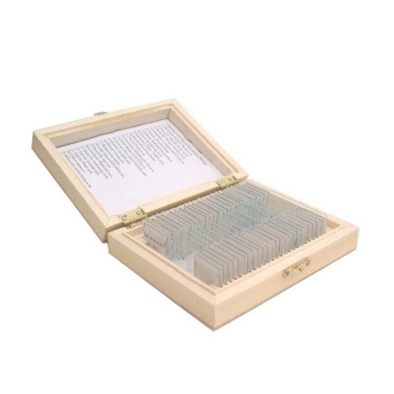 Set preparate anatomie pentru microscop (25 buc) image 1