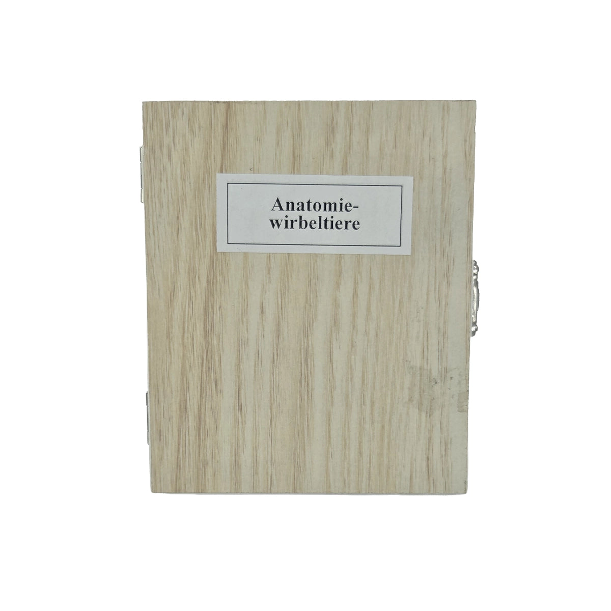 Set preparate anatomie pentru microscop (25 buc)