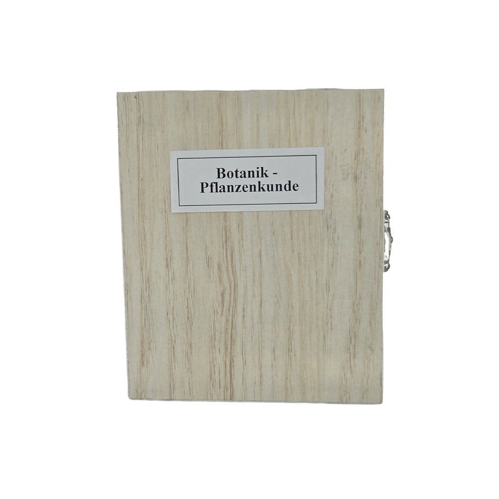 Set preparate botanica pentru microscop (25 buc)