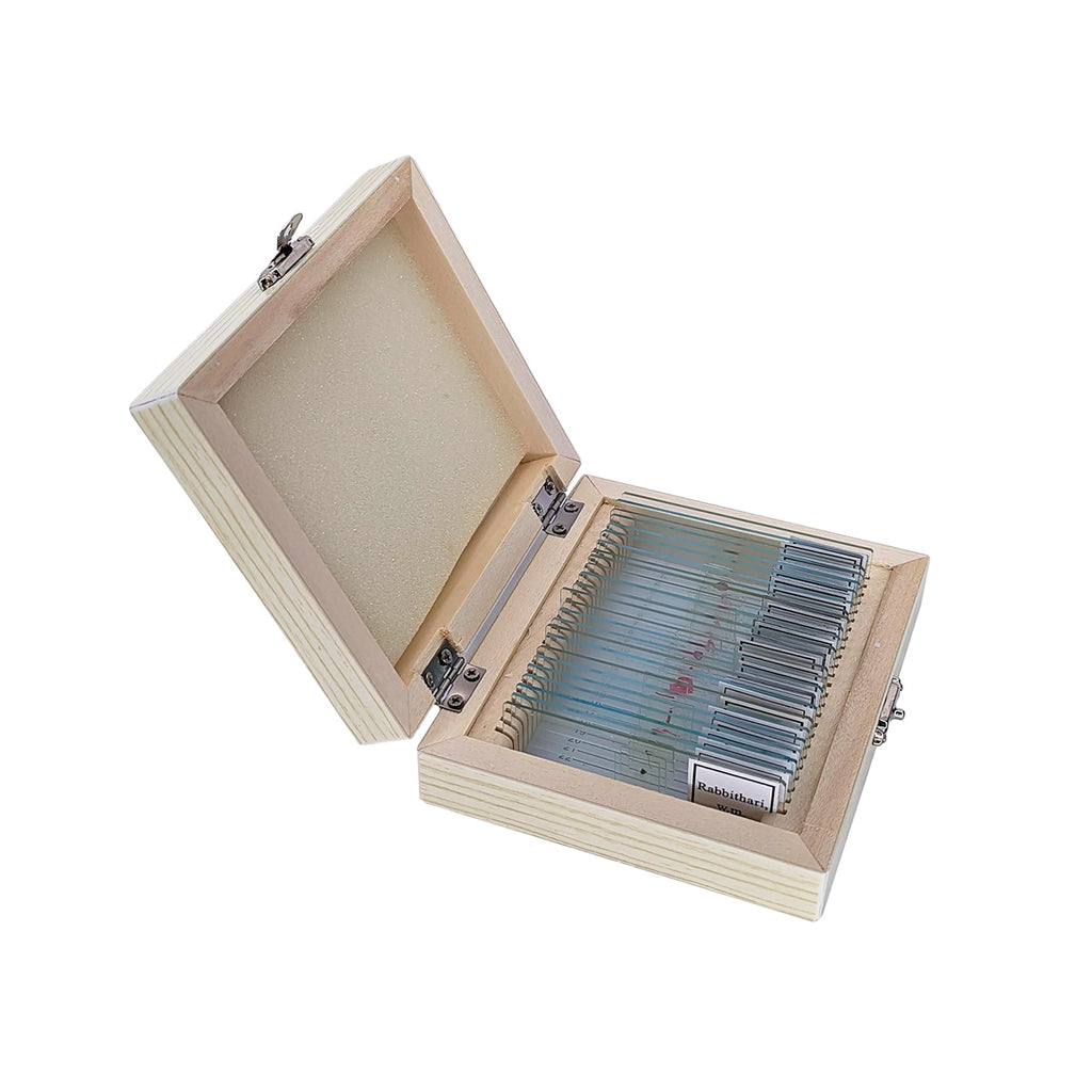 Set preparate botanica pentru microscop (25 buc)