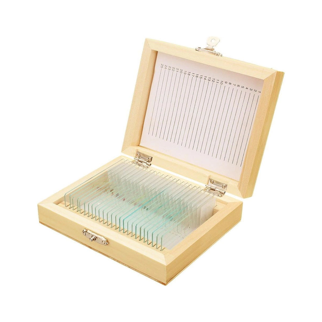 Set preparate botanica pentru microscop (25 buc)