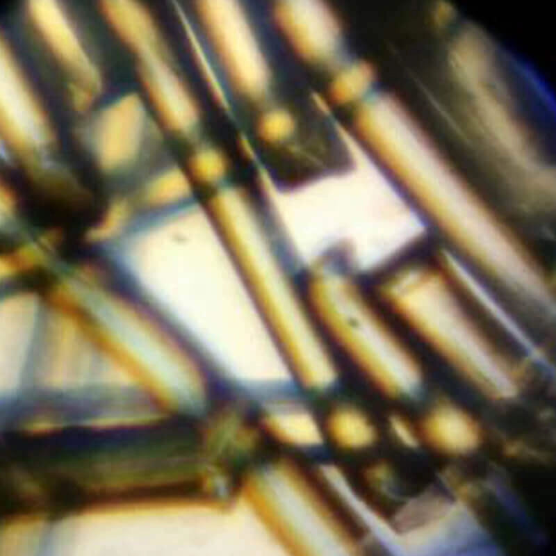 Microscop biologic pentru copii Student 31 (70-400x)