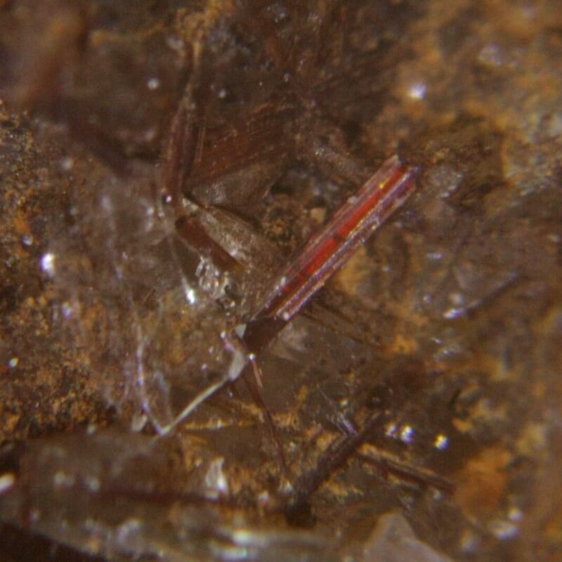 Microscop stereo Student 2S 20x LED