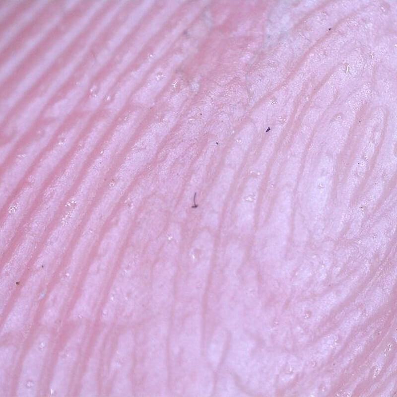 Microscop digital portabil DELTA Smart PRO 5MP