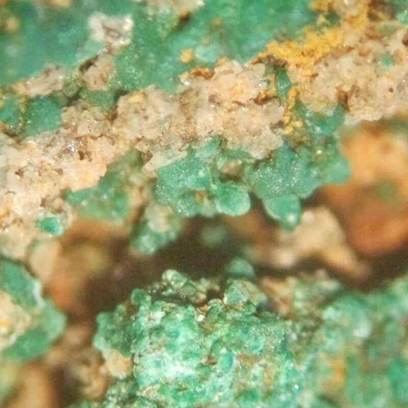 Microscop  Student Mini1S 20x - LED