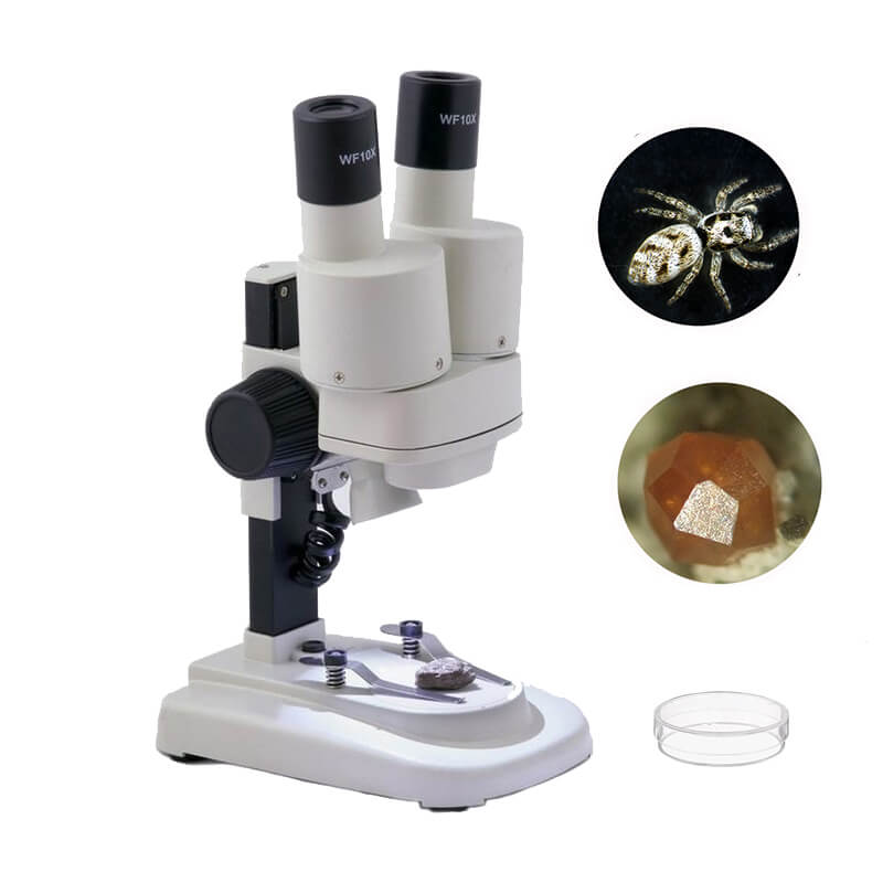 Microscop  Student Mini1S 20x - LED image 2