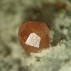 Microscop stereo STM-1A 20x image 5