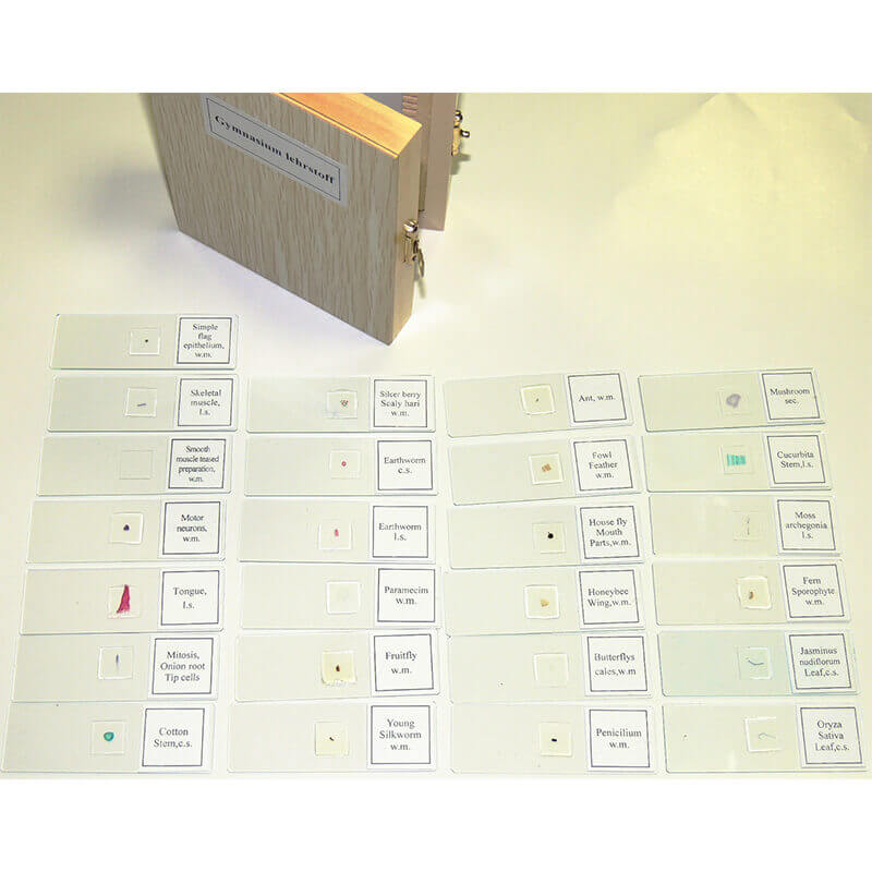 Set preparate gimnasiu pentru microscop (25 buc) image 3