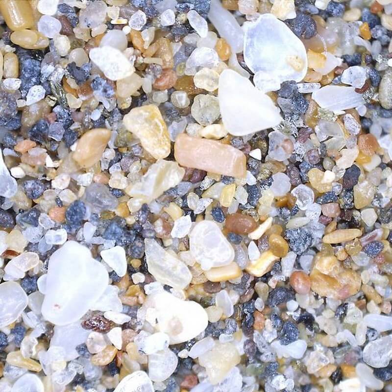 Microscop digital portabil DELTA Smart PRO 5MP